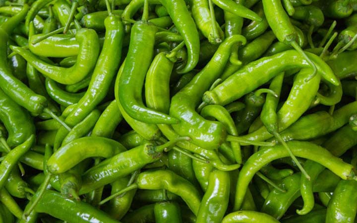 একটা কাঁচা মরিচের দাম এক টাকা