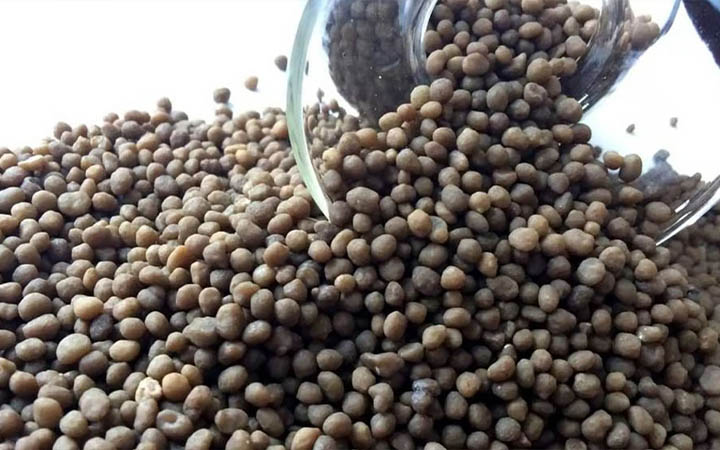 ৫৫ হাজার টন টিএসপি সার কিনবে সরকার