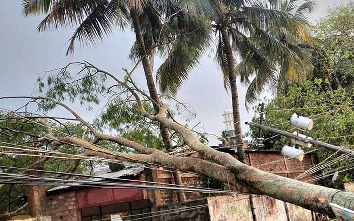 কালবৈশাখীতে বসতঘরের ওপর গাছ পড়ে মা-ছেলের মৃত্যু