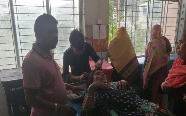 আলমডাঙ্গায় শাশুড়িকে কোপাল পুত্রবধূ