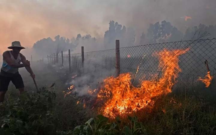 আলজেরিয়ায় ভয়াবহ দাবানল, নিহত ৩৪