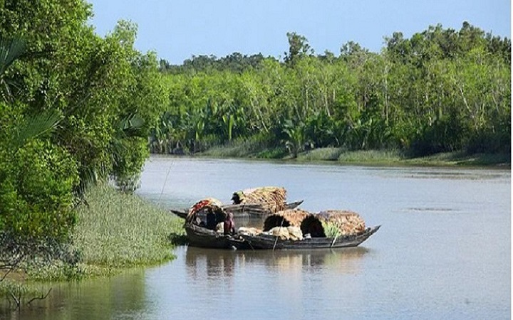সুন্দরবনে মুক্তিপণ দিয়ে ফিরলেন অপহৃত ১৪ জেলে