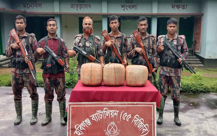 বিজিবির পৃথক অভিযানে ভারতীয় গাঁজা জব্দ