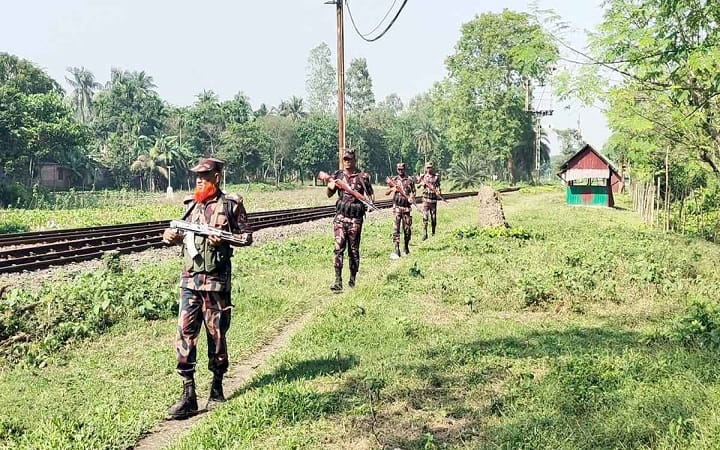 ভারতে চামড়া পাচার রোধে হিলি সীমান্তে বিজিবির কঠোর নজরদারি