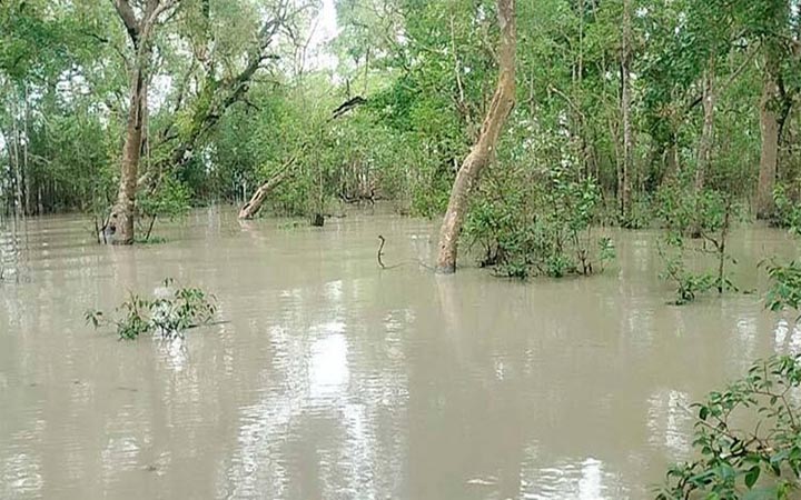 বাগেরহাটে নদ-নদীর পানি বিপৎসীমার উপরে