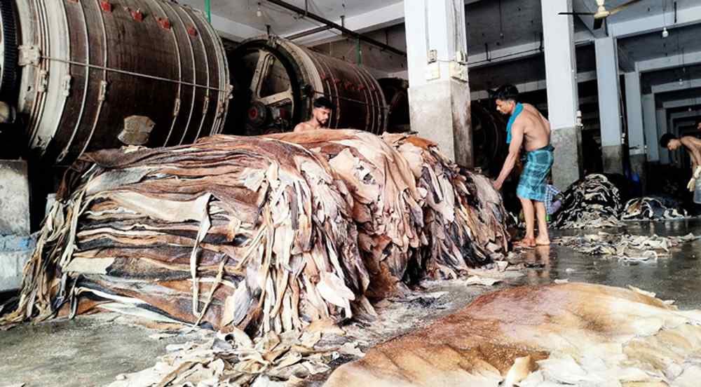 বাংলাদেশে কোরবানির চামড়ার দাম এত কম কেন?