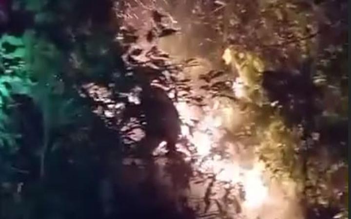 চট্টগ্রাম বিশ্ববিদ্যালয়ের পাহাড়ে আগুন