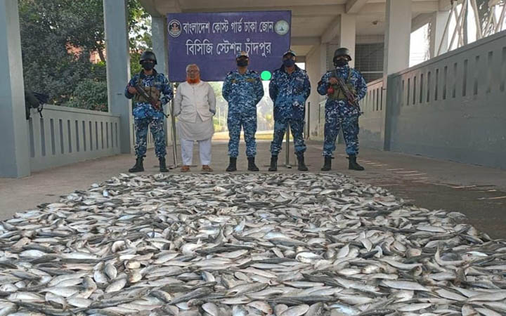 চাঁদপুরে ১২০০ কেজি জাটকা জব্দ