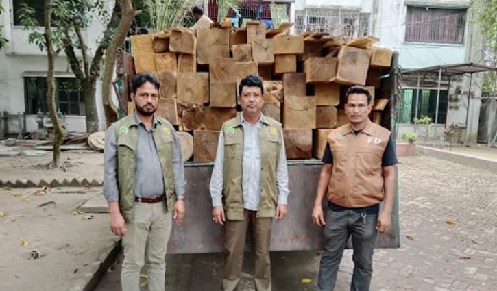 সোনারগাঁও ফরেস্ট স্টেশনে ২০০ ঘনফুট রদ্দা কাঠ জব্দ