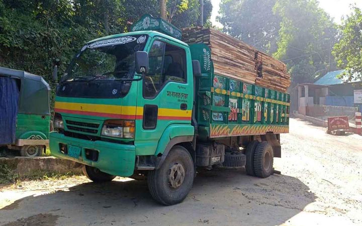 মিরসরাইয়ে ৮২৩ ঘনফুট গামার ও আকাশমণি কাঠ জব্দ