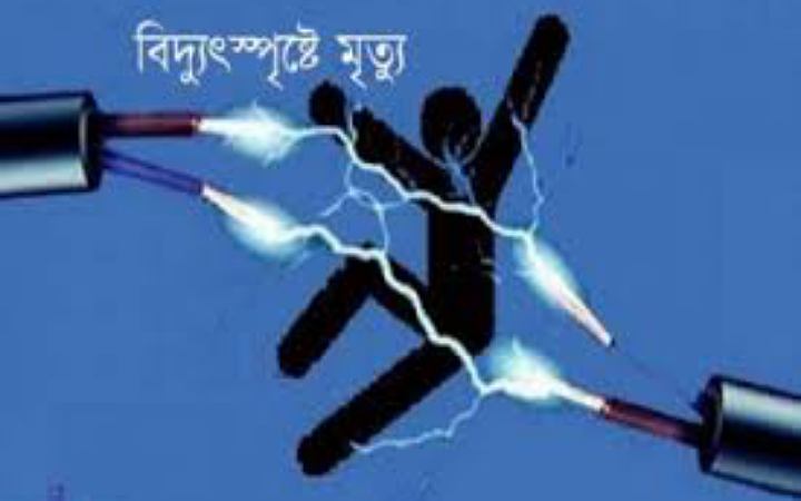 চারঘাটে বিদ্যুৎস্পৃষ্ট হয়ে শ্বশুর-পুত্রবধূর মৃত্যু