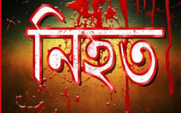কাশ্মীরে হিজবুল মুজাহিদিন কমান্ডারসহ নিহত ৩