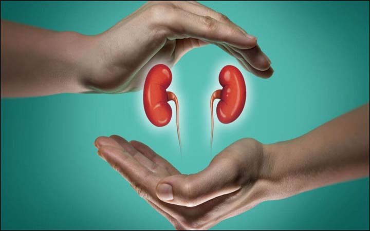 ডায়ালাইসিস ছাড়াই সুস্থ হবেন কিডনি রোগীরা