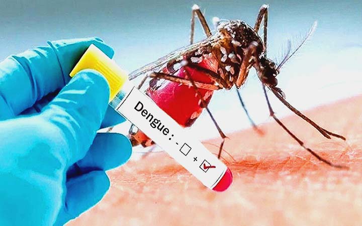 আরও ১০৩ ডেঙ্গু রোগী হাসপাতালে