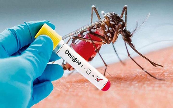 ডেঙ্গুতে আরও ১০ জনের মৃত্যু, আক্রান্ত ১৮০০