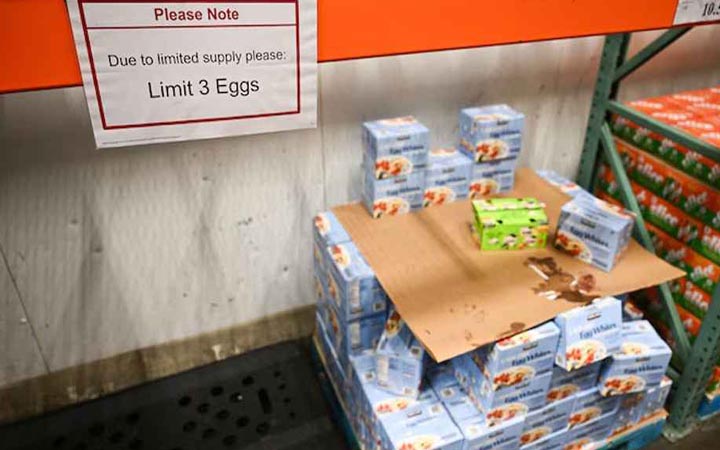 বার্ড ফ্লুর প্রকোপে ডিম বিক্রি সীমিত যুক্তরাষ্ট্রে, বেড়ে গেছে চুরি