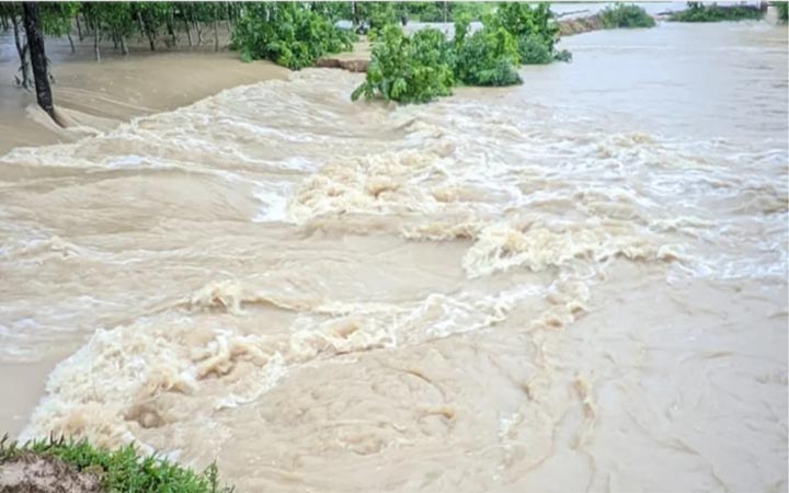 ২১ জেলায় পানিতে ডুবেছে ৭২ হাজার হেক্টর জমির ফসল