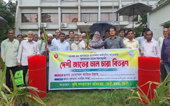 ফেনী সদরে বিনামূল্যে ৩৫০টি তাল গাছের চারা পেলেন কৃষকরা