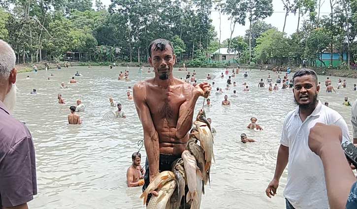 কুমিল্লায় পলো দিয়ে মাছ ধরা উৎসব