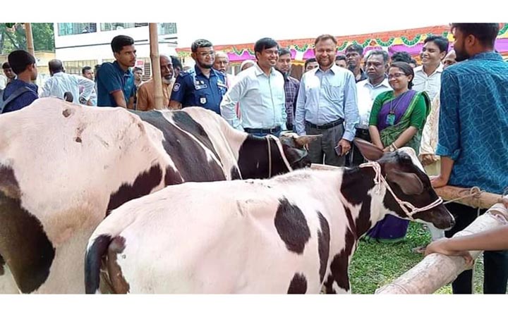 ফুলপুরে প্রাণিসম্পদ প্রদর্শনী ও পুরস্কার বিতরণ