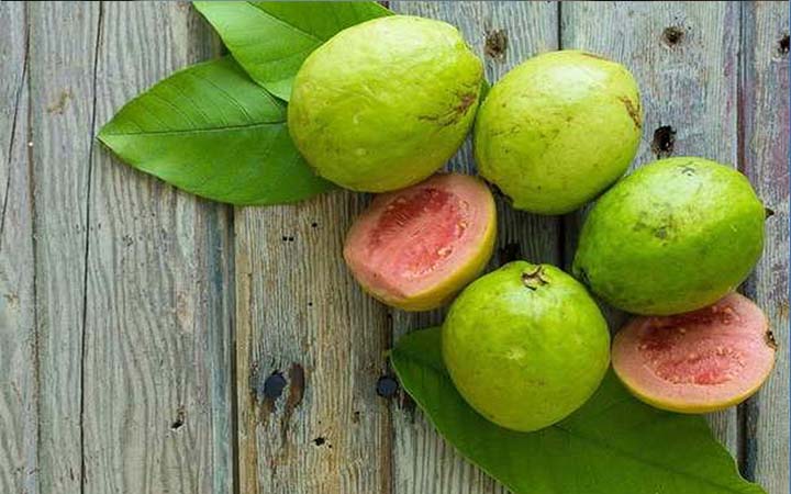 কোষ্ঠকাঠিন্য ও ডায়রিয়া দূর করে পেয়ারা