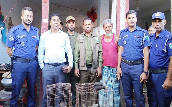 বাজার থেকে ২০টি পাখি উদ্ধার, শিকারিকে জরিমানা