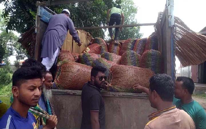 হিলি দিয়ে কাঁচা মরিচ আমদানি শুরু