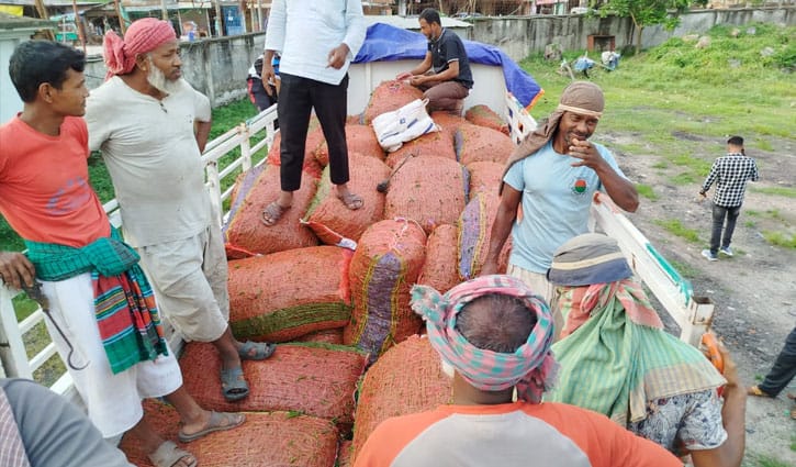 হিলি বন্দর দিয়ে ভারত থেকে কাঁচা মরিচ আমদানি শুরু