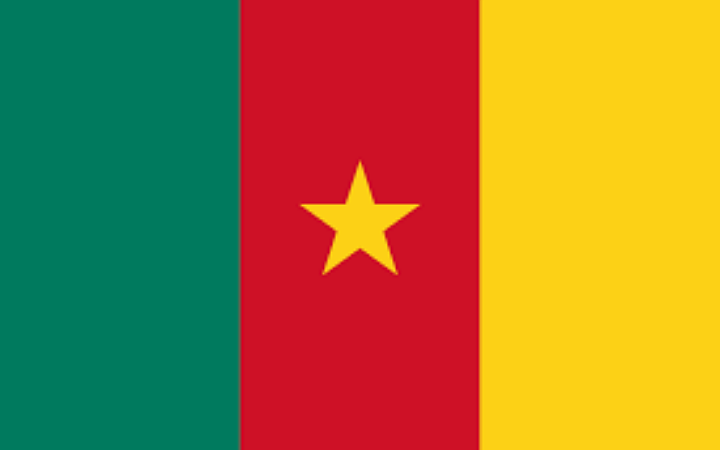 বিশ্বে প্রথমবারের মতো ম্যালেরিয়ার টিকা দেওয়া শুরু করল ক্যামেরুন