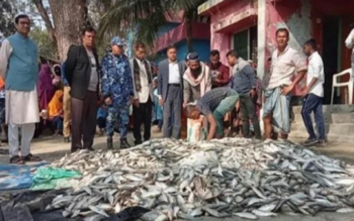 ৩ টন জাটকা জব্দ,পালিয়েছে বিক্রেতা