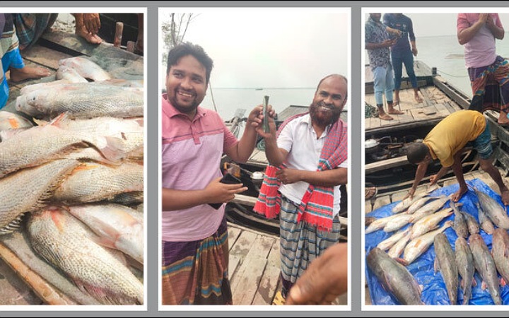 জেলের জালে মাছের ঝাঁক, সোয়া ৪ লাখে বিক্রি