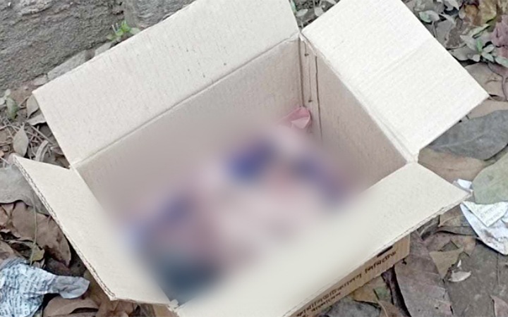 সাভারে কার্টনে মিললো নবজাতকের মরদেহ
