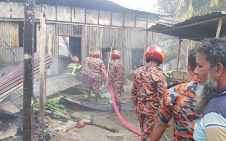 ফরিদপুরে অগ্নিকাণ্ডে বসতঘর ও গবাদিপশু ভস্মীভূত
