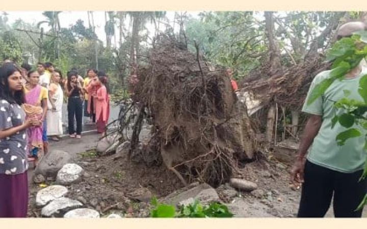 কালবৈশাখী ঝড়ের তাণ্ডবে লণ্ডভণ্ড জলপাইগুড়ি