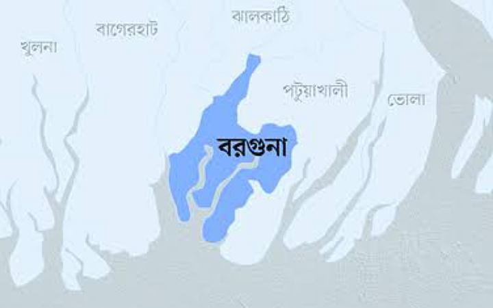 বরগুনায় পিকআপ খাদে পড়ে আহত ২