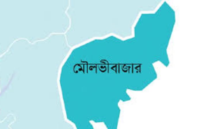মৌলভীবাজারে বজ্রপাতে মহিষের মৃত্যু