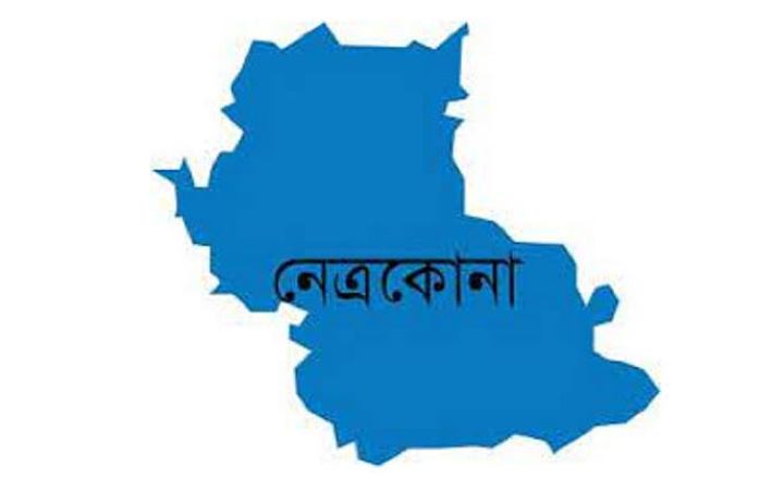 নেত্রকোনায় ভাবির চুল কেটে দিল ননদ, থানায় মামলা