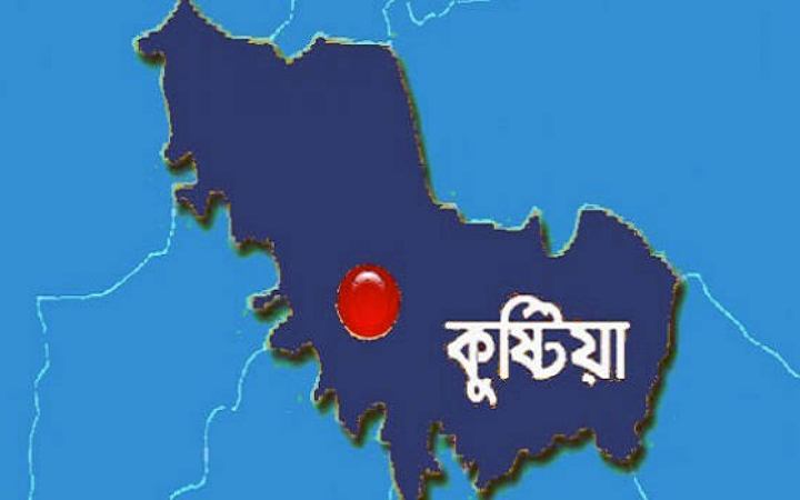কুষ্টিয়ায় সাপের কামড়ে কৃষকের মৃত্যু