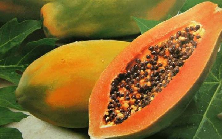 পেঁপে খাওয়ার পরপরই যে খাবার এড়িয়ে যাবেন