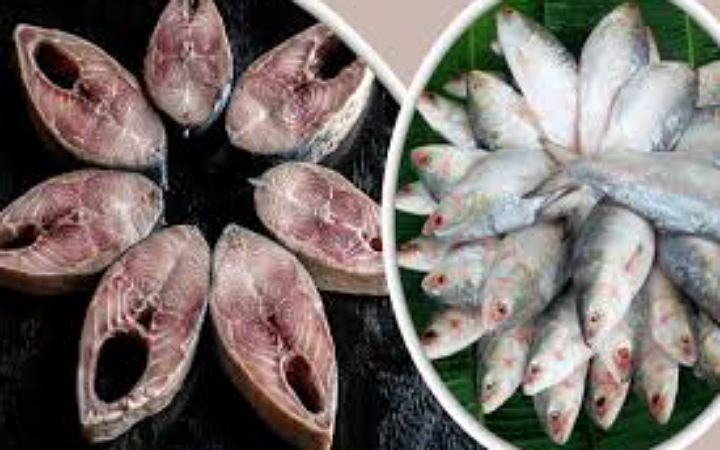 ইলিশ মাছের উপকারিতা