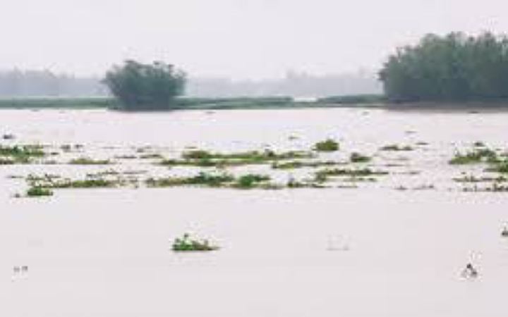 ফের বাড়ছে কুড়িগ্রামে নদ-নদীর পানি