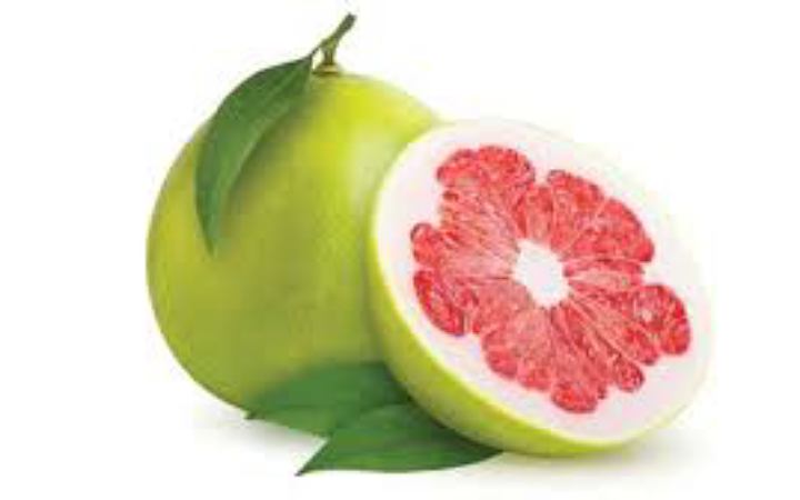জেনে নিন জাম্বুরার উপকারিতা