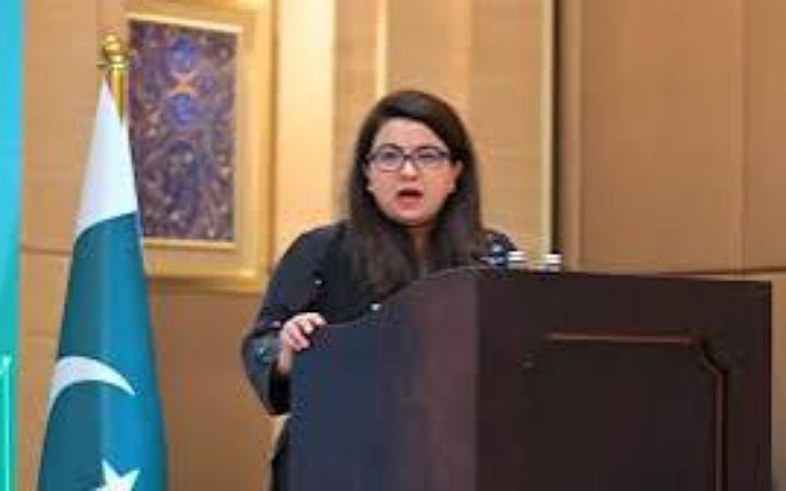 ইন্টারনেটে ধীরগতি : ভিপিএনকে দুষলেন পাকিস্তানের তথ্যপ্রযুক্তি প্রতিমন্ত্রী