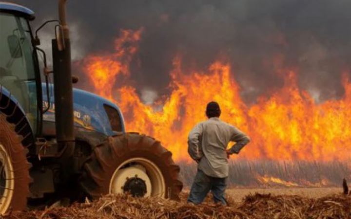 ব্রাজিলে ভয়াবহ দাবানল; ৩০ শহরে হাই অ্যালার্ট জারি