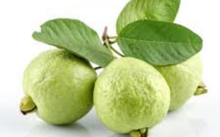 পেয়ারা খাওয়ার উপকারিতা