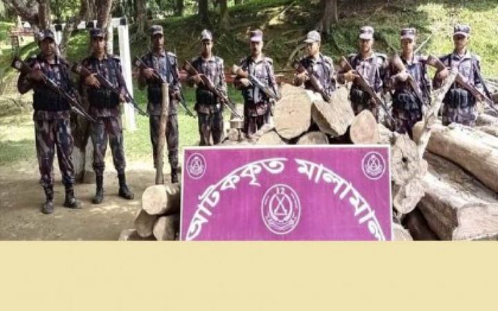 কাপ্তাই হ্রদ থেকে অবৈধ সেগুন কাঠ জব্দ করেছে বিজিবি