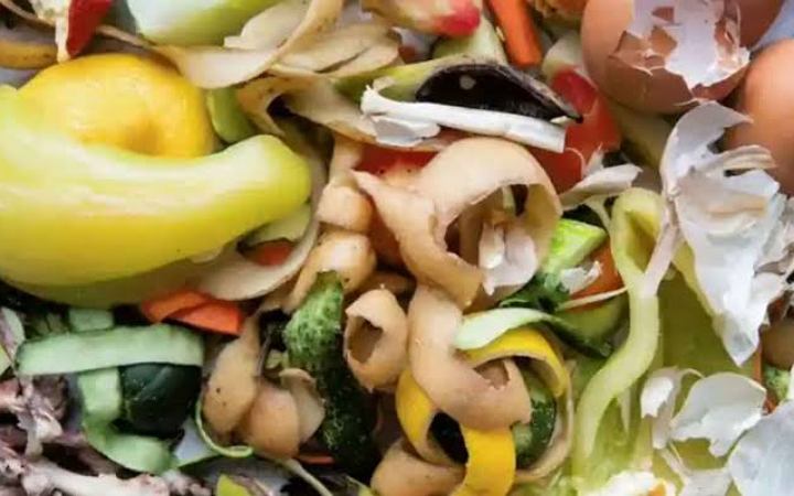 গাছের উপকারীতায় প্রাকৃতিক সারের ব্যাবহার