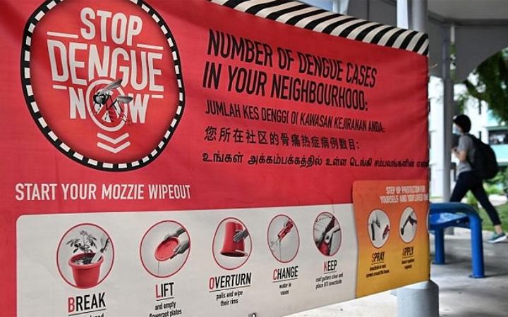 ডেঙ্গু নিয়ন্ত্রণে সফল হলো সিঙ্গাপুর