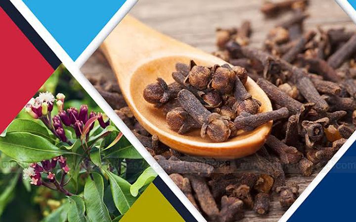 জেনে নিন লবঙ্গ খাওয়ার উপকারিতা ও ব্যবহার