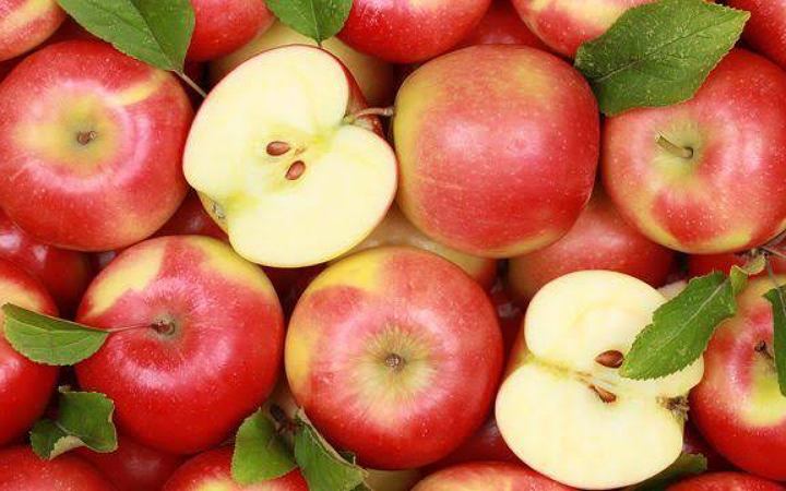 রক্তের চর্বি নিয়ন্ত্রণে রাখে আপেলের খোসা